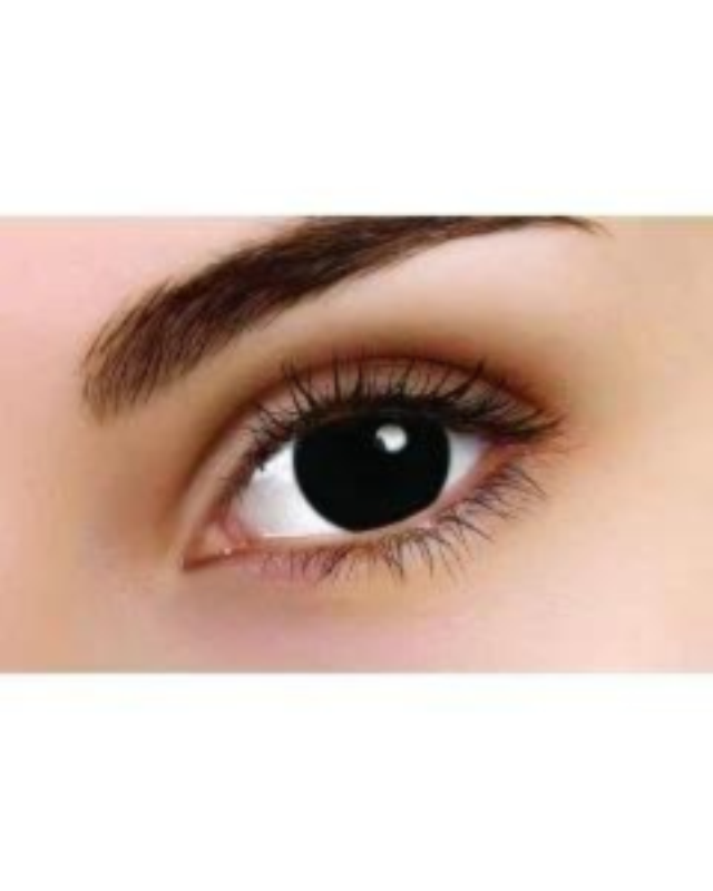 Cheshire Cat - In Stock