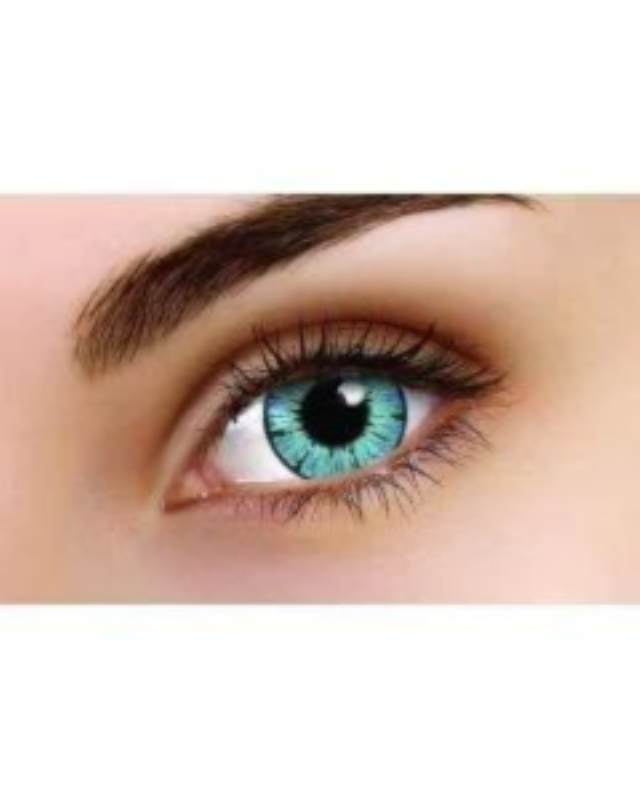 Grey Dragon - In Stock